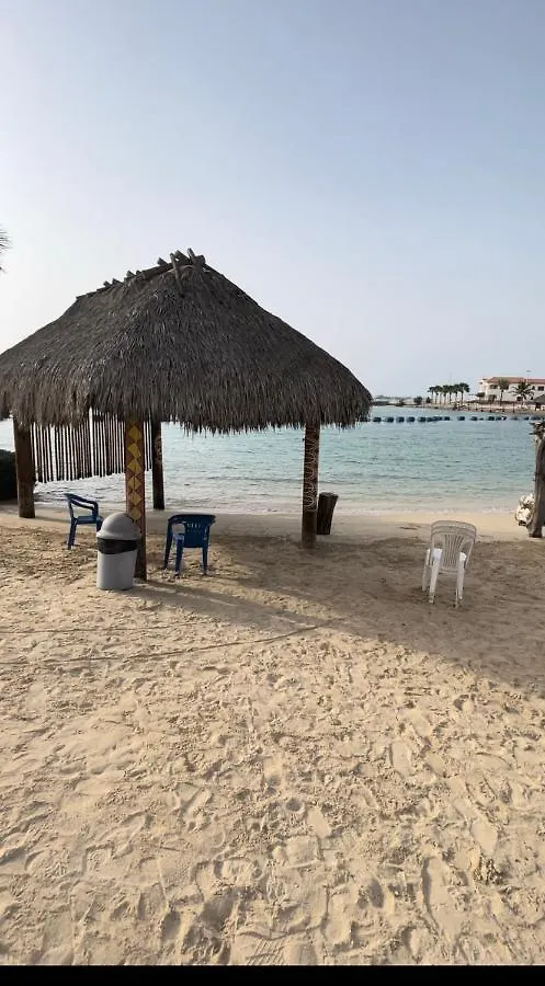 درة العروس البحر